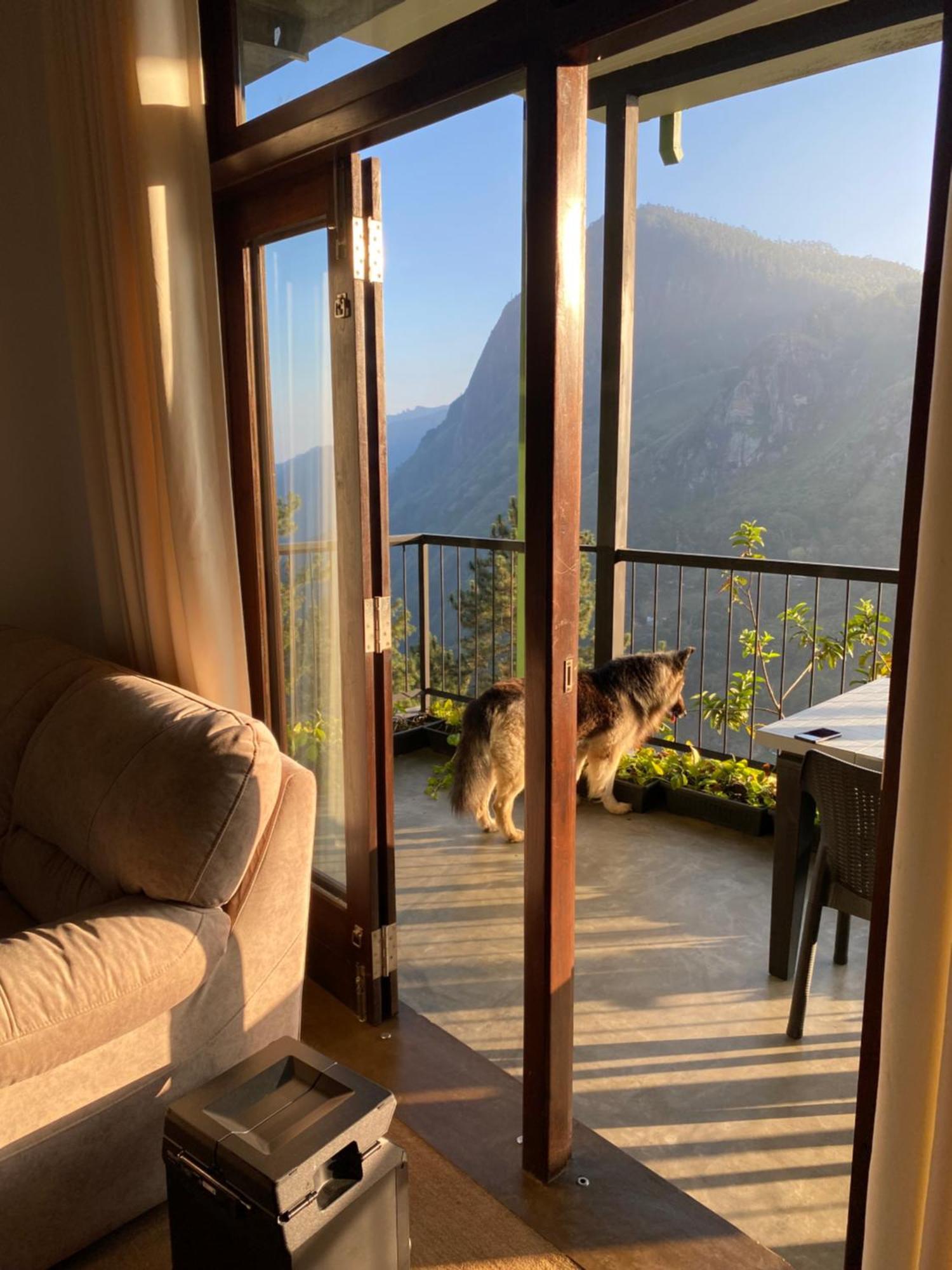 Star Gaze Lodge Ella Buitenkant foto